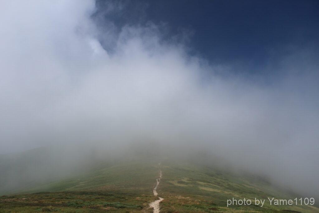 平標山 登山道