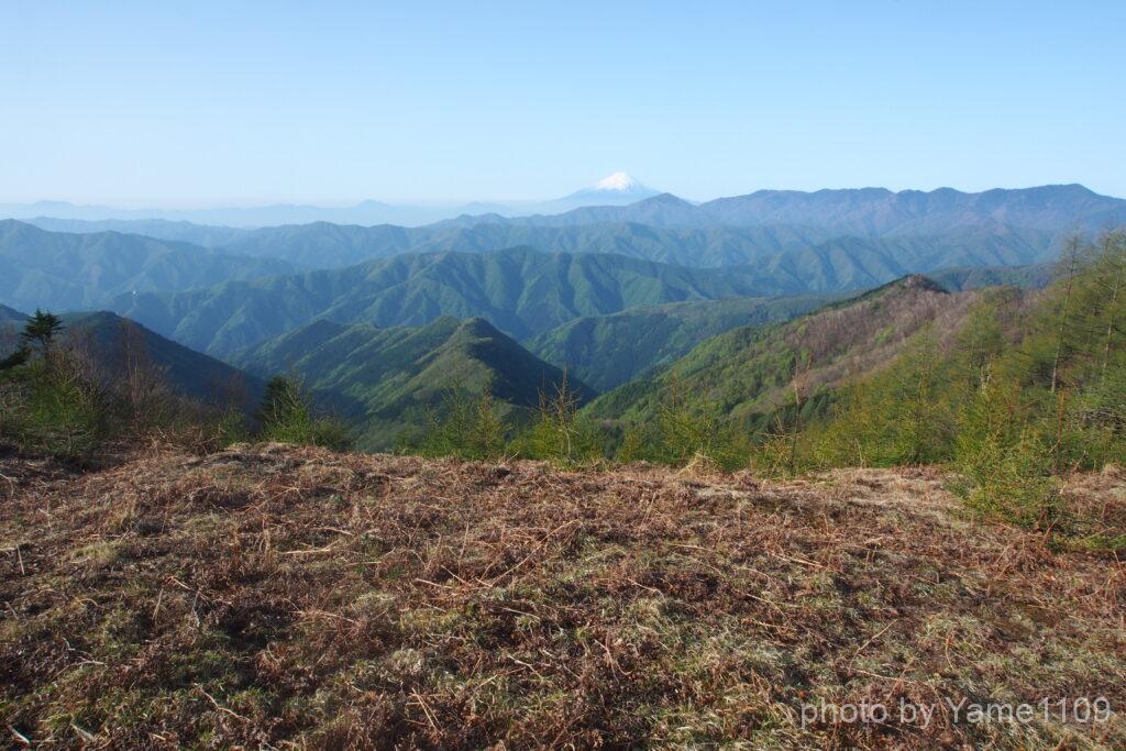 日陰名栗山から見た富士山