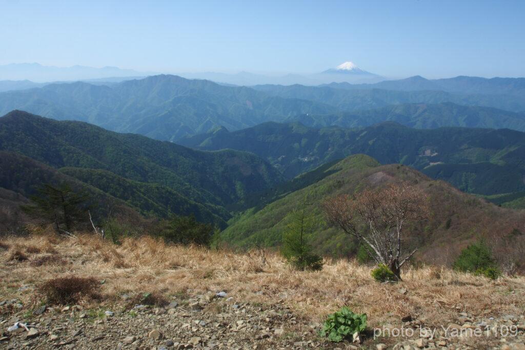 鷹ノ巣山 山頂からの展望