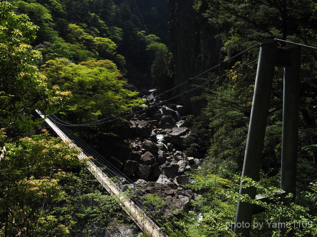 大杉谷の吊り橋
