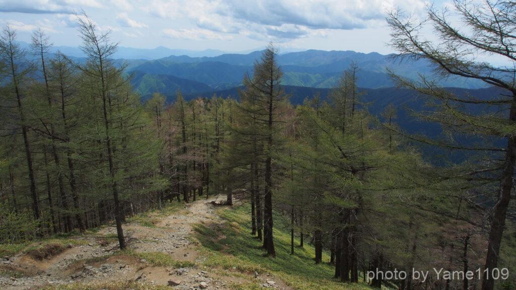 石尾根 雲取山