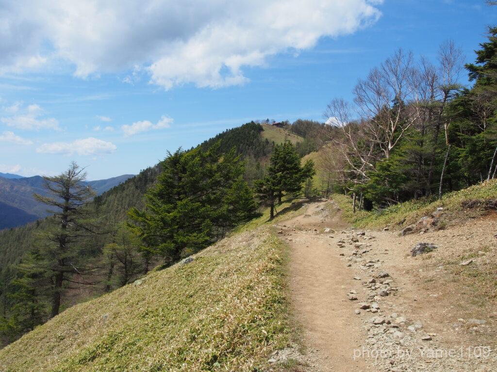 雲取山 山頂へ