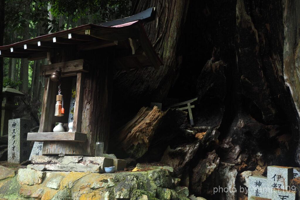 愛宕山参道