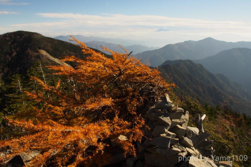 甲武信ケ岳山頂付近