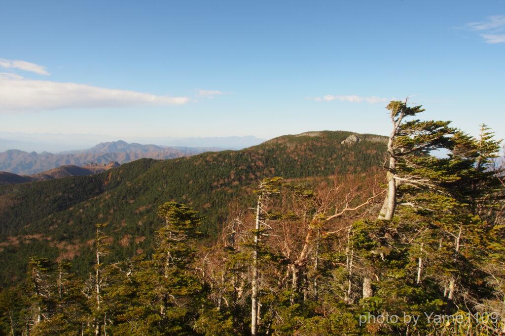 甲武信ケ岳山頂付近