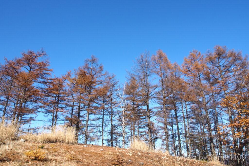 六石山山頂