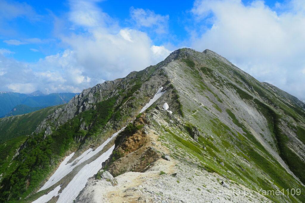 ワリモ岳方面から見た鷲羽岳