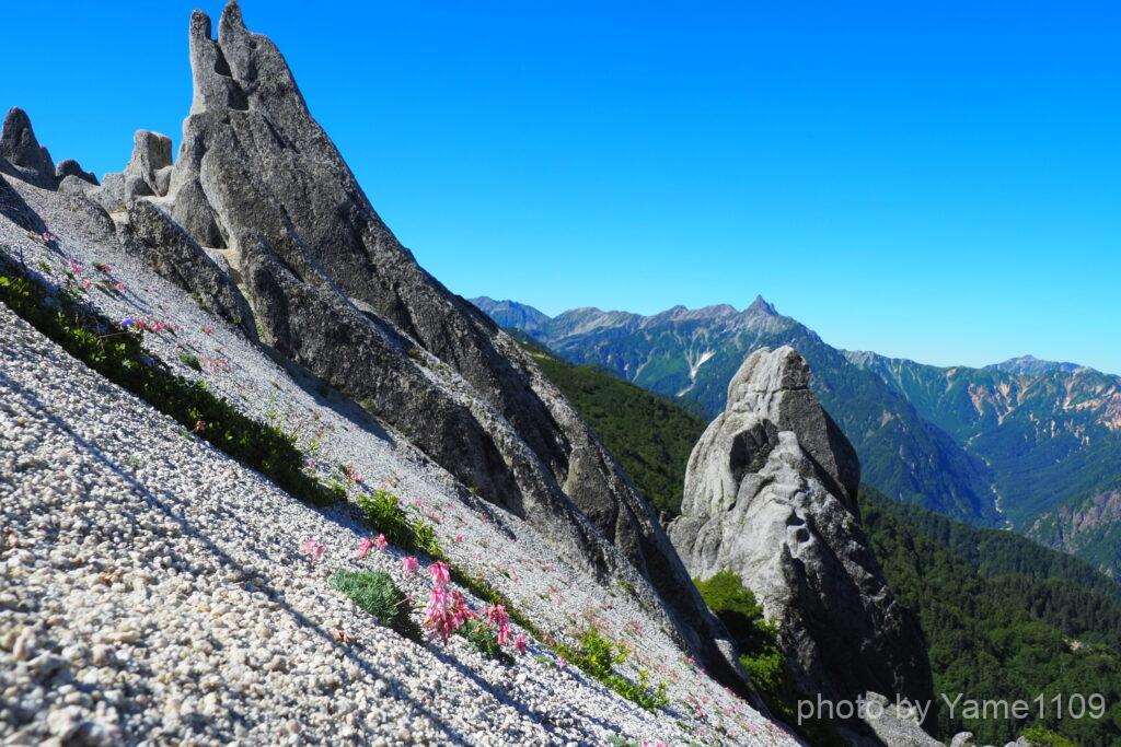 イルカ岩とコマクサ