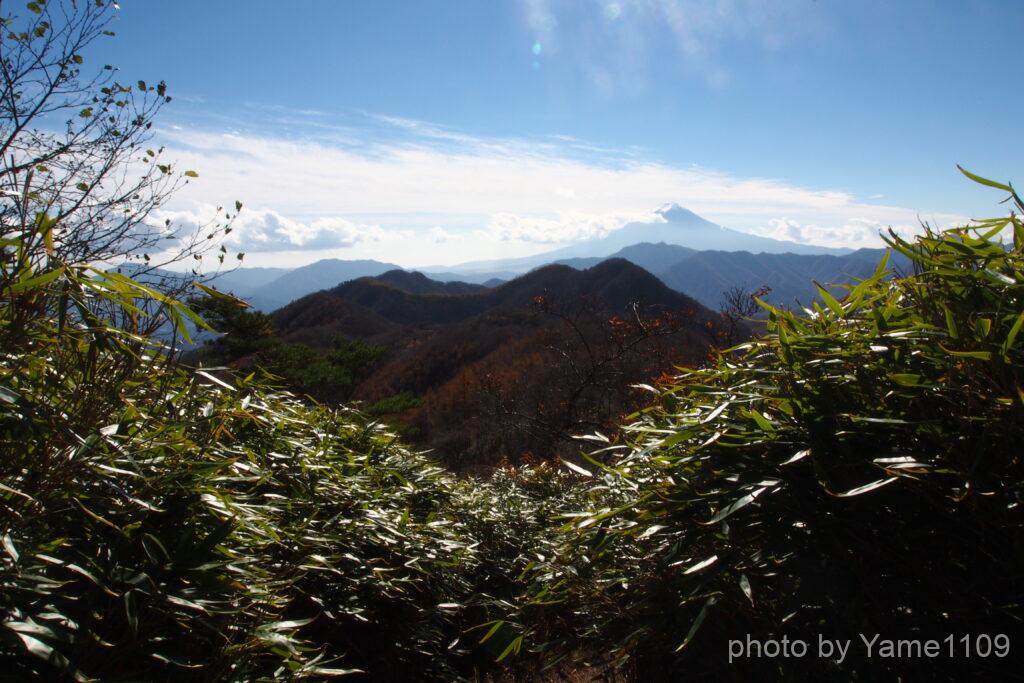 ハマイバ丸周辺から見た富士山